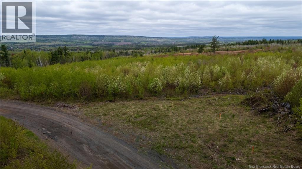 Lot 39 Davidson Road, Anagance, New Brunswick  E4Z 1E1 - Photo 14 - NB140081