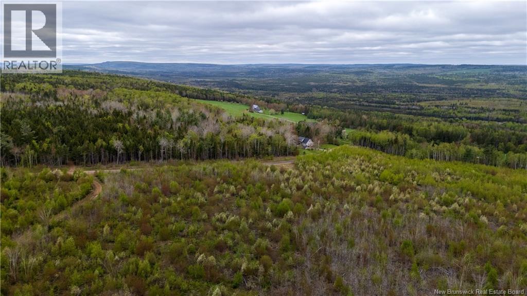 Lot 39 Davidson Road, Anagance, New Brunswick  E4Z 1E1 - Photo 16 - NB140081