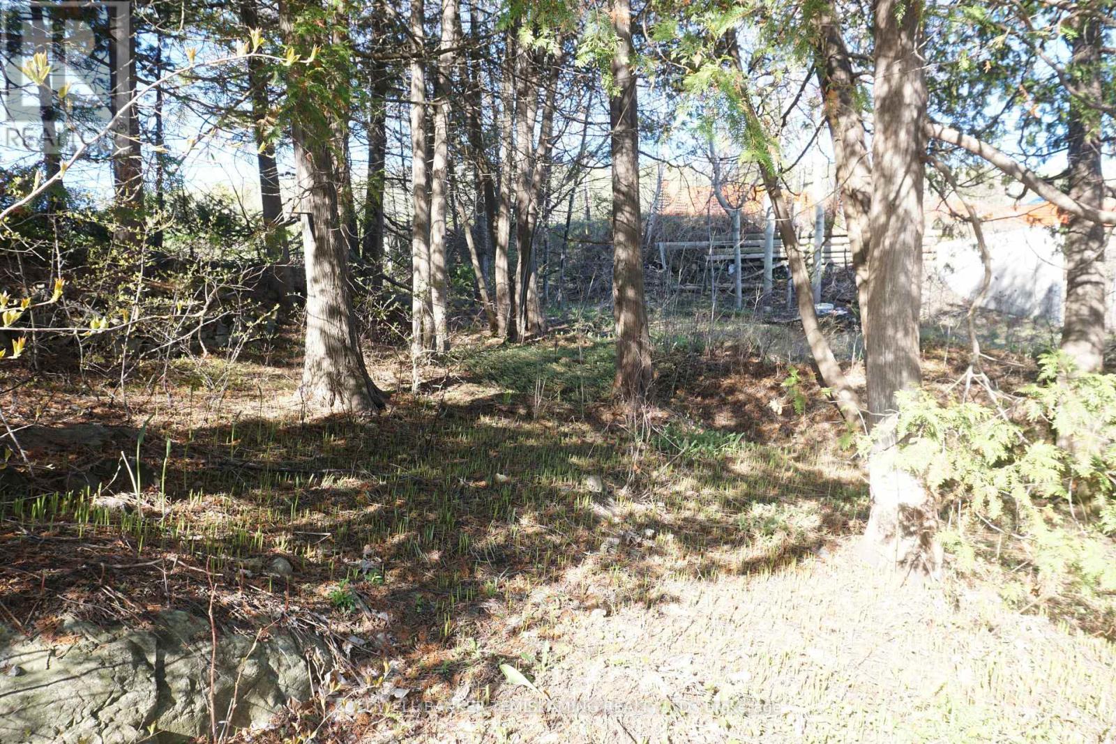 1467 Lakeshore Road S, Temiskaming Shores, Ontario P0J 1K0 - Photo 14 - T13170422