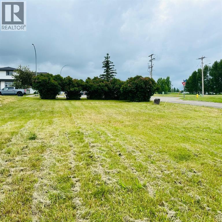 4603 44 Avenue, Rocky Mountain House, Alberta  T4T 1C7 - Photo 4 - A2279182