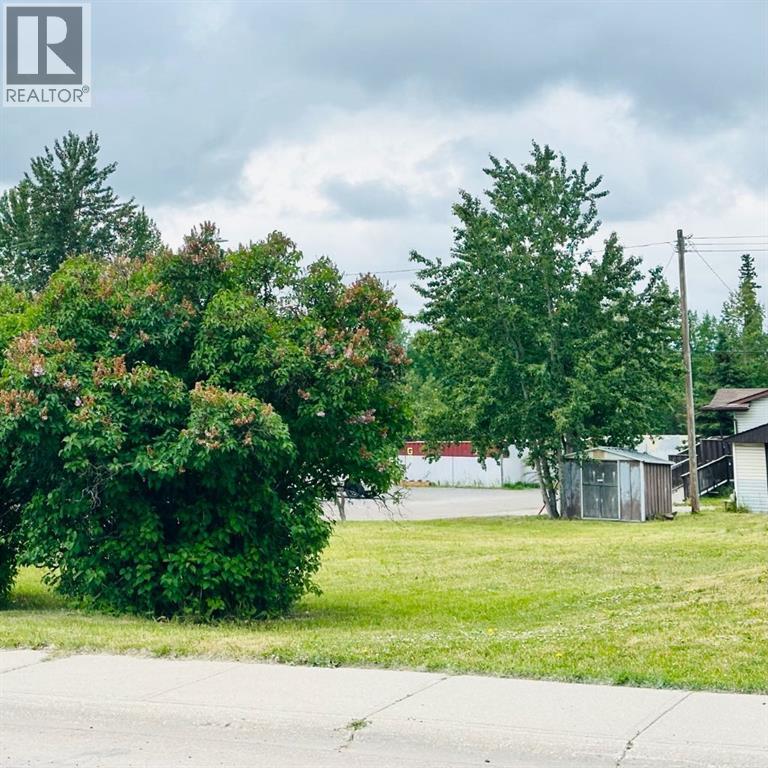 4603 44 Avenue, Rocky Mountain House, Alberta  T4T 1C7 - Photo 1 - A2279182