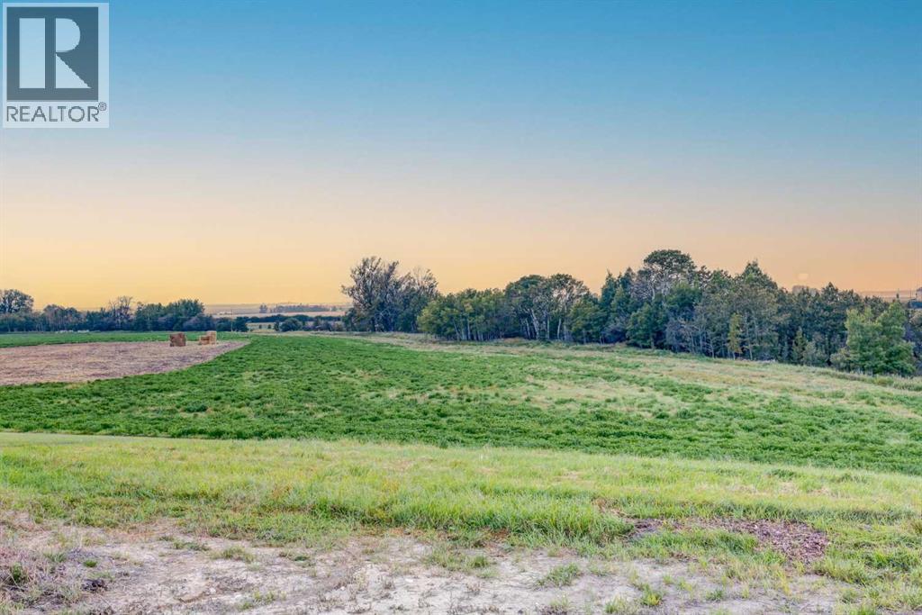 232 Red Tail Ridge SE, High River, Alberta  T1V 0J8 - Photo 35 - A2297927