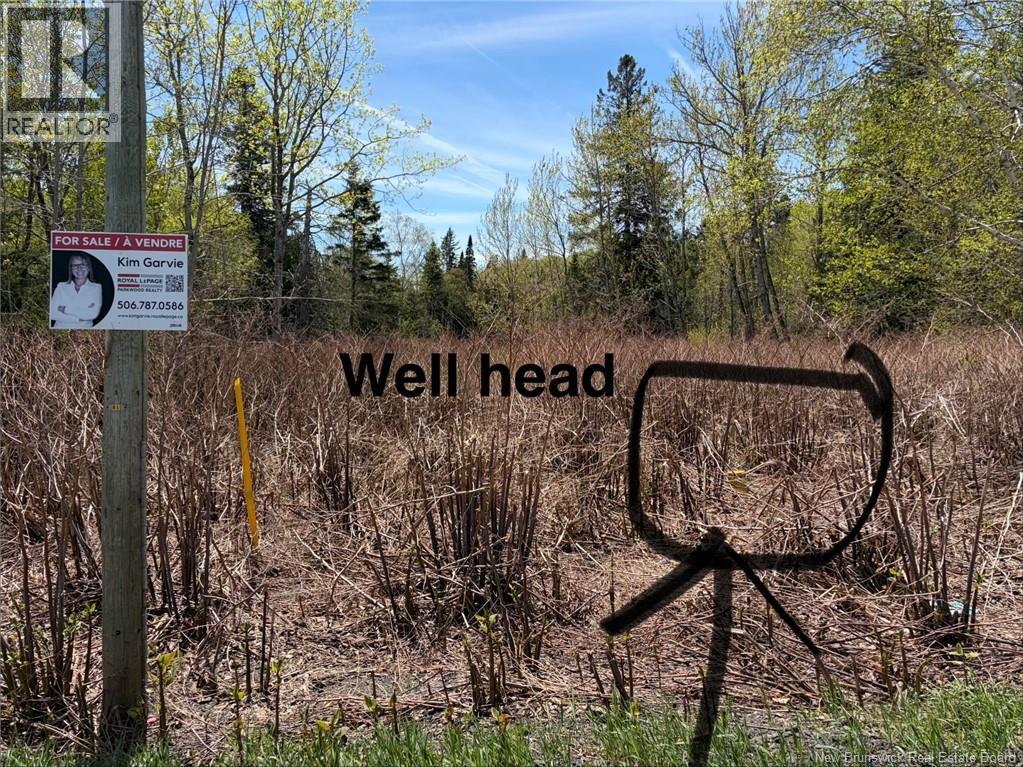 Lot Vacant Route 134, New Mills, New Brunswick  E8G 1E4 - Photo 6 - NB100554