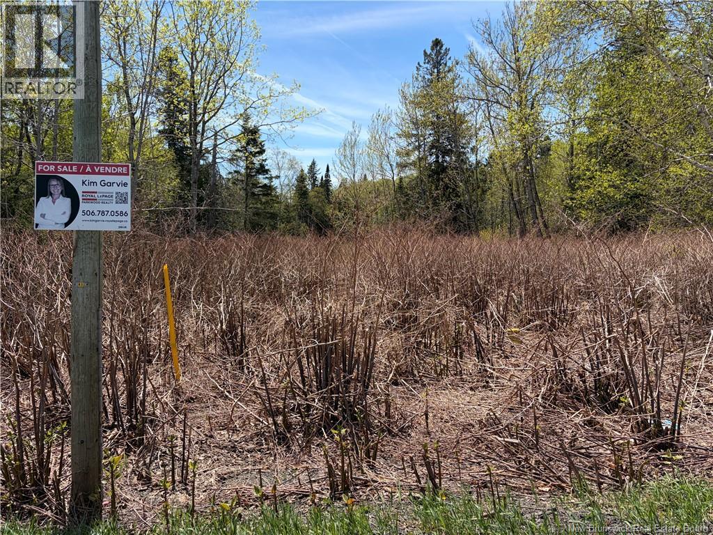 Lot Vacant Route 134, New Mills, New Brunswick  E8G 1E4 - Photo 5 - NB100554