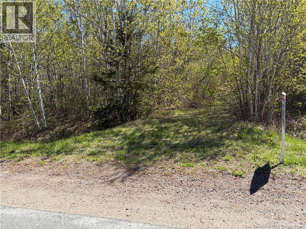 Vacant Lot Noel Road, Belledune, New Brunswick  E8G 2T6 - Photo 6 - NB106133