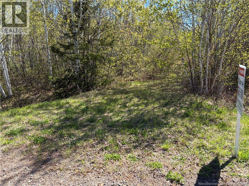 Vacant Lot Noel Road, Belledune, New Brunswick  E8G 2T6 - Photo 5 - NB106133
