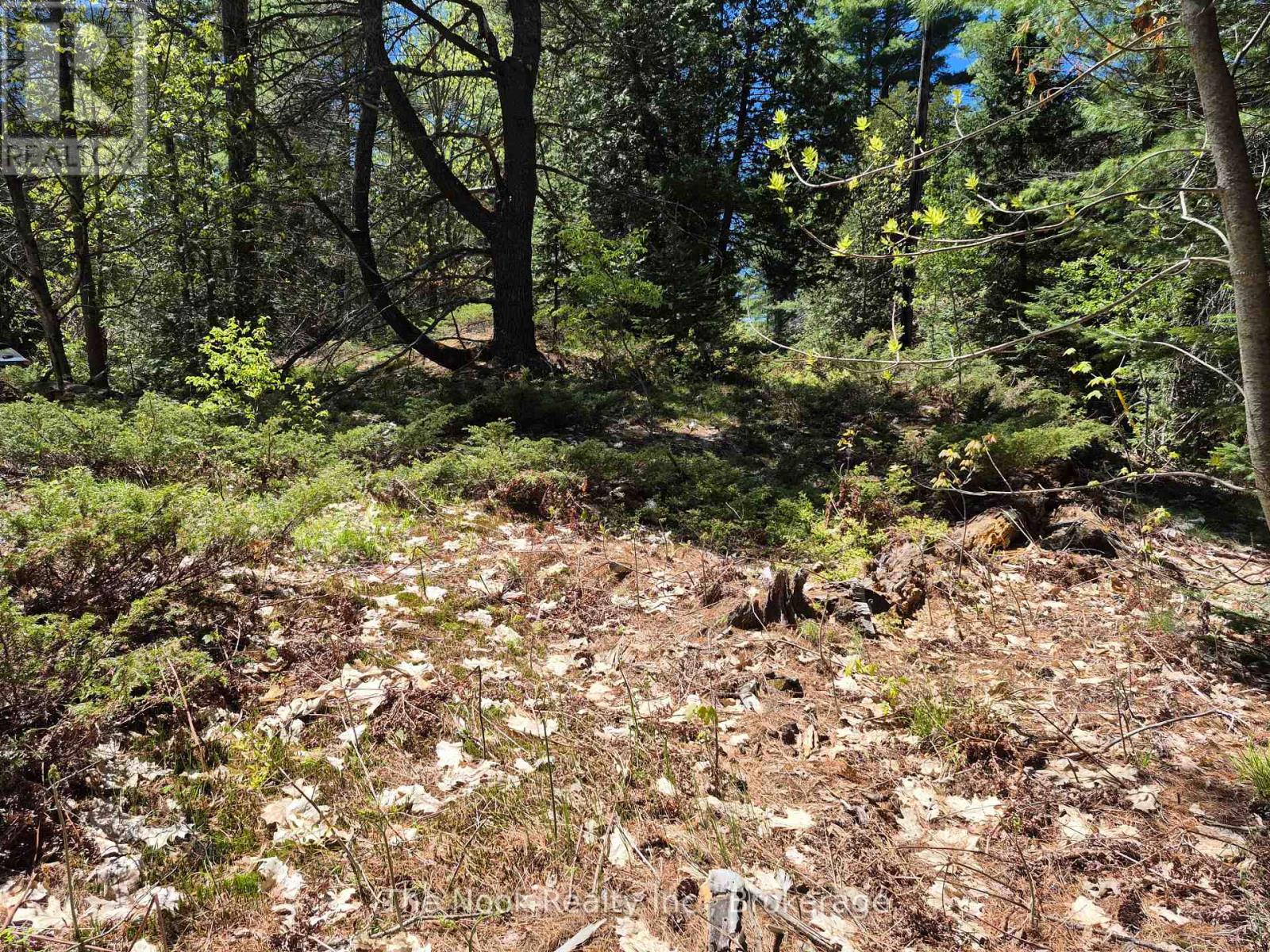00 Pine Path, Frontenac, Ontario  K0H 1J0 - Photo 10 - X13170488