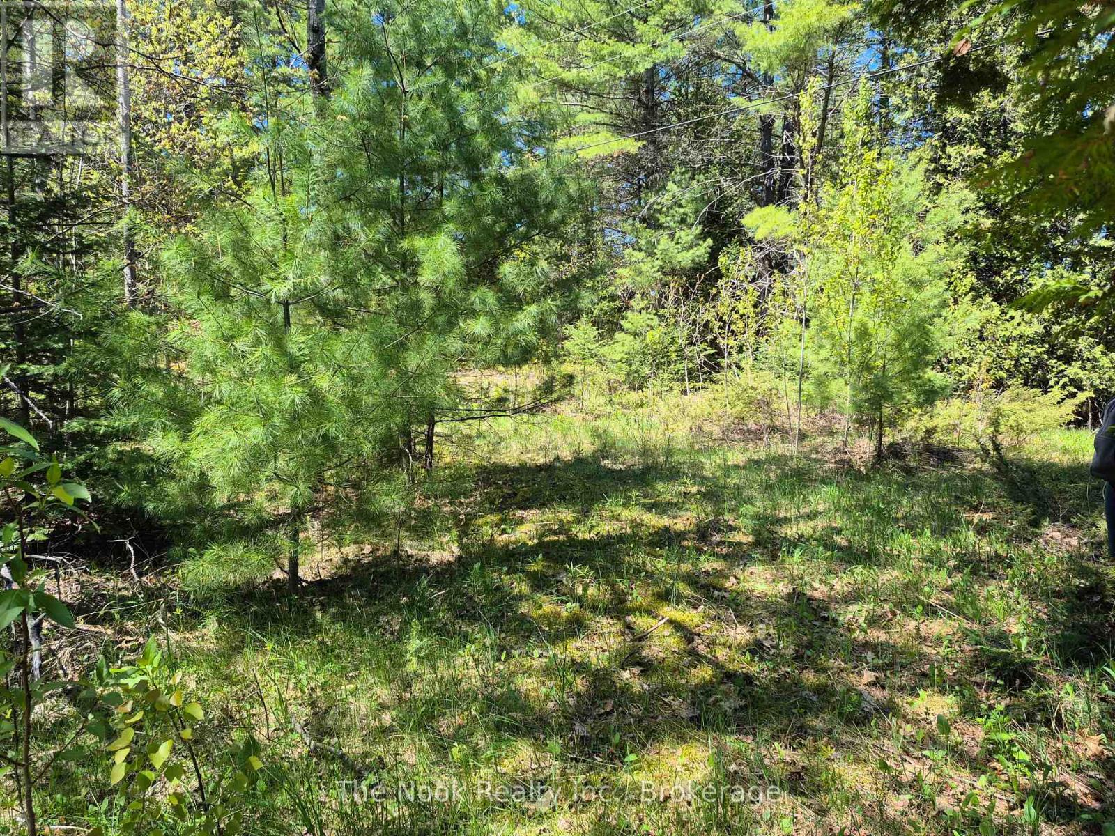 00 Pine Path, Frontenac, Ontario  K0H 1J0 - Photo 11 - X13170488