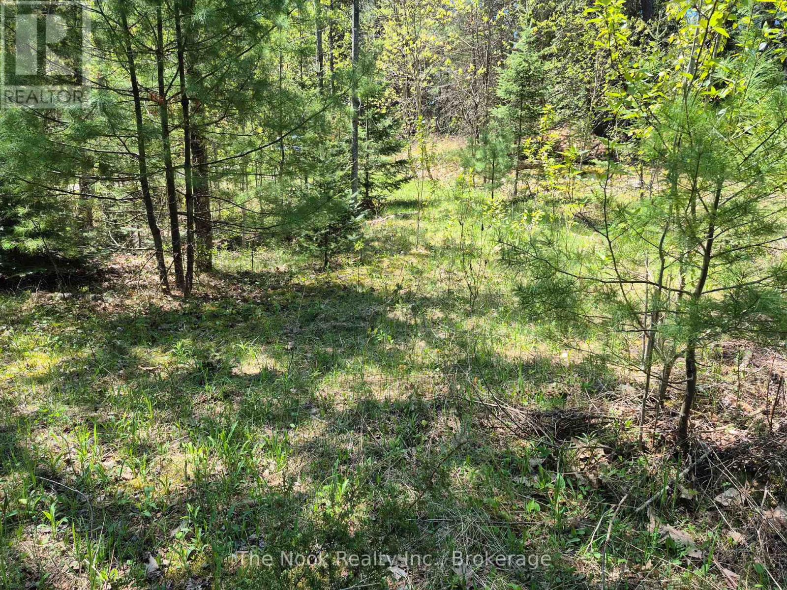 00 Pine Path, Frontenac, Ontario  K0H 1J0 - Photo 12 - X13170488