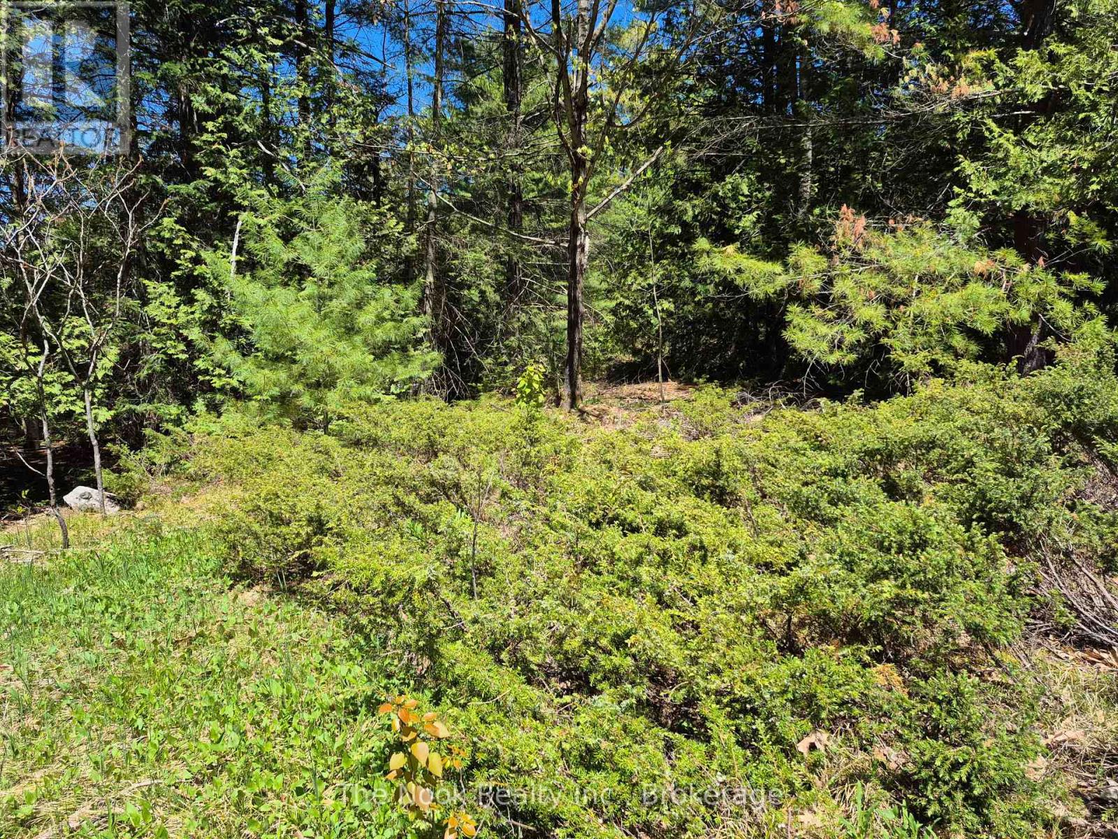 00 Pine Path, Frontenac, Ontario  K0H 1J0 - Photo 13 - X13170488