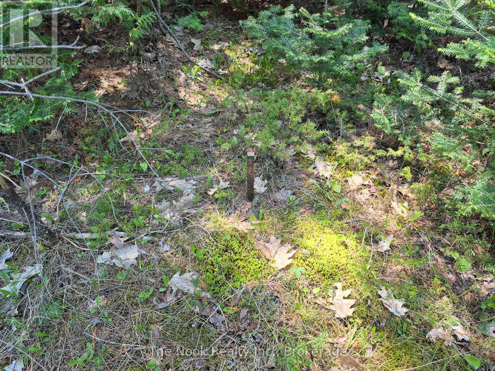00 Pine Path, Frontenac, Ontario  K0H 1J0 - Photo 14 - X13170488