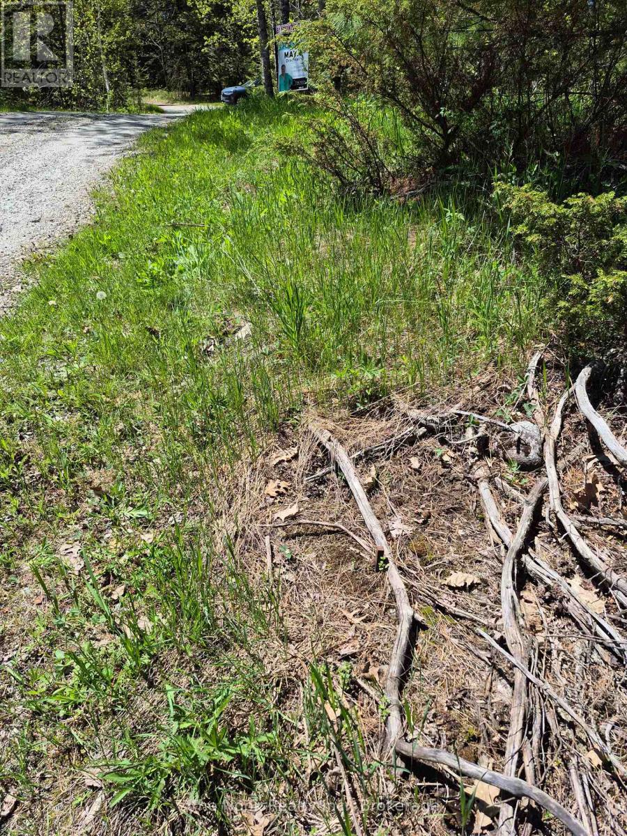 00 Pine Path, Frontenac, Ontario  K0H 1J0 - Photo 17 - X13170488