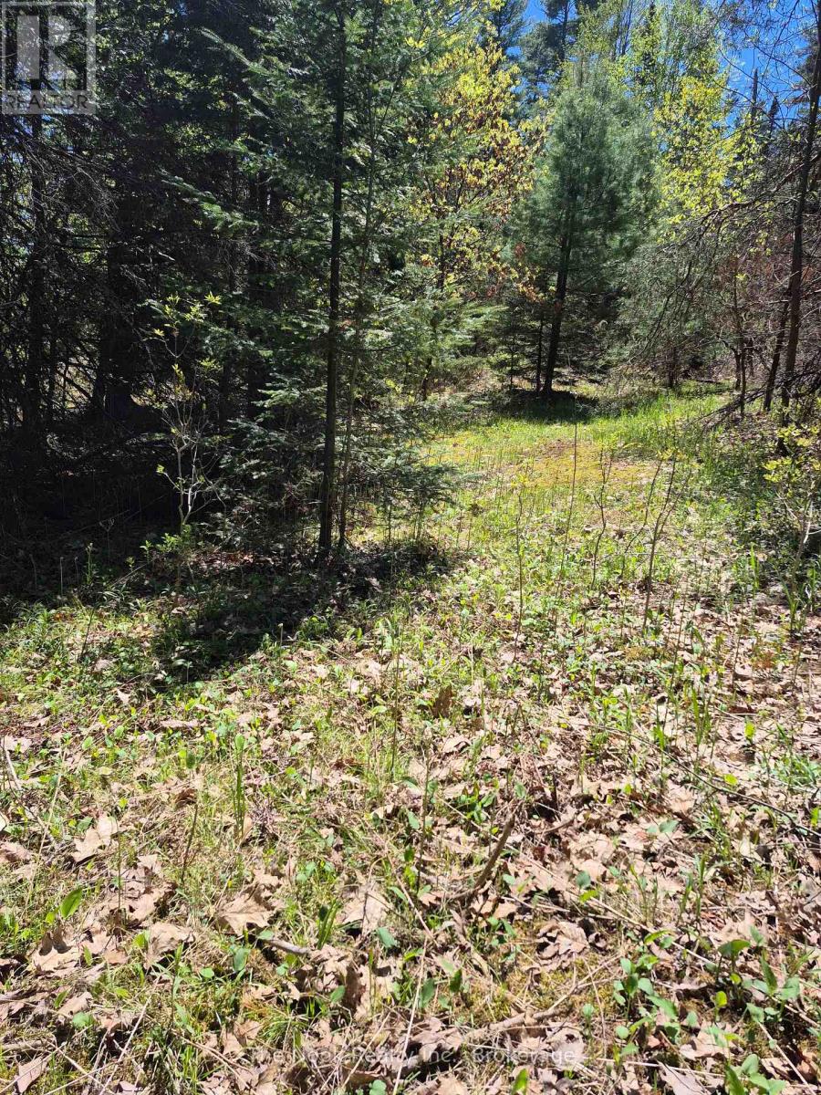 00 Pine Path, Frontenac, Ontario  K0H 1J0 - Photo 20 - X13170488