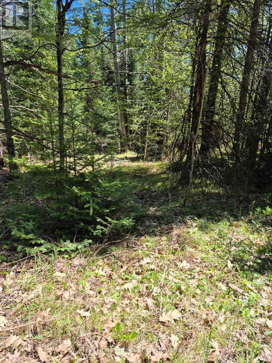 00 Pine Path, Frontenac, Ontario  K0H 1J0 - Photo 21 - X13170488