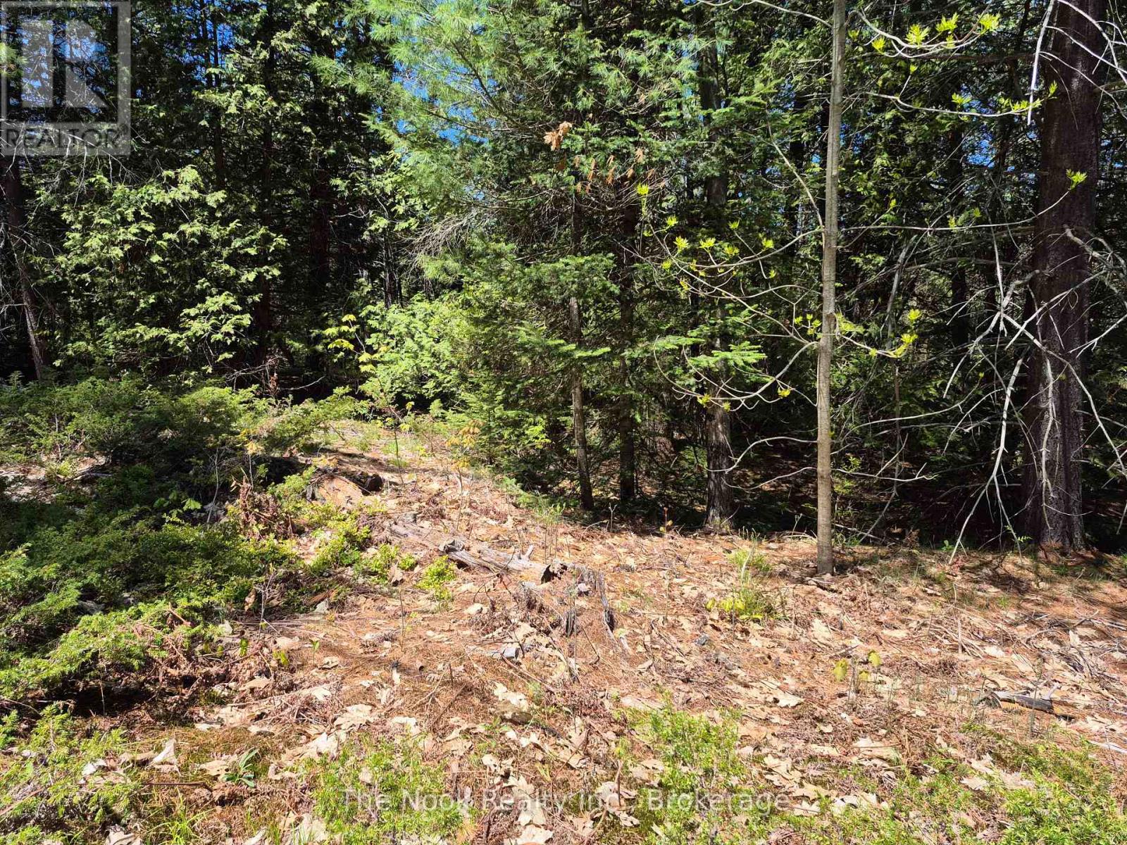 00 Pine Path, Frontenac, Ontario  K0H 1J0 - Photo 7 - X13170488