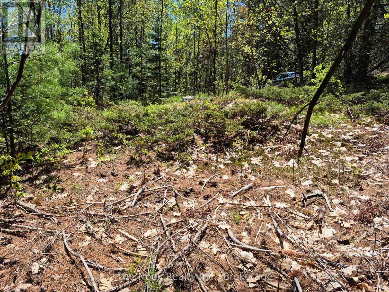 00 Pine Path, Frontenac, Ontario  K0H 1J0 - Photo 8 - X13170488