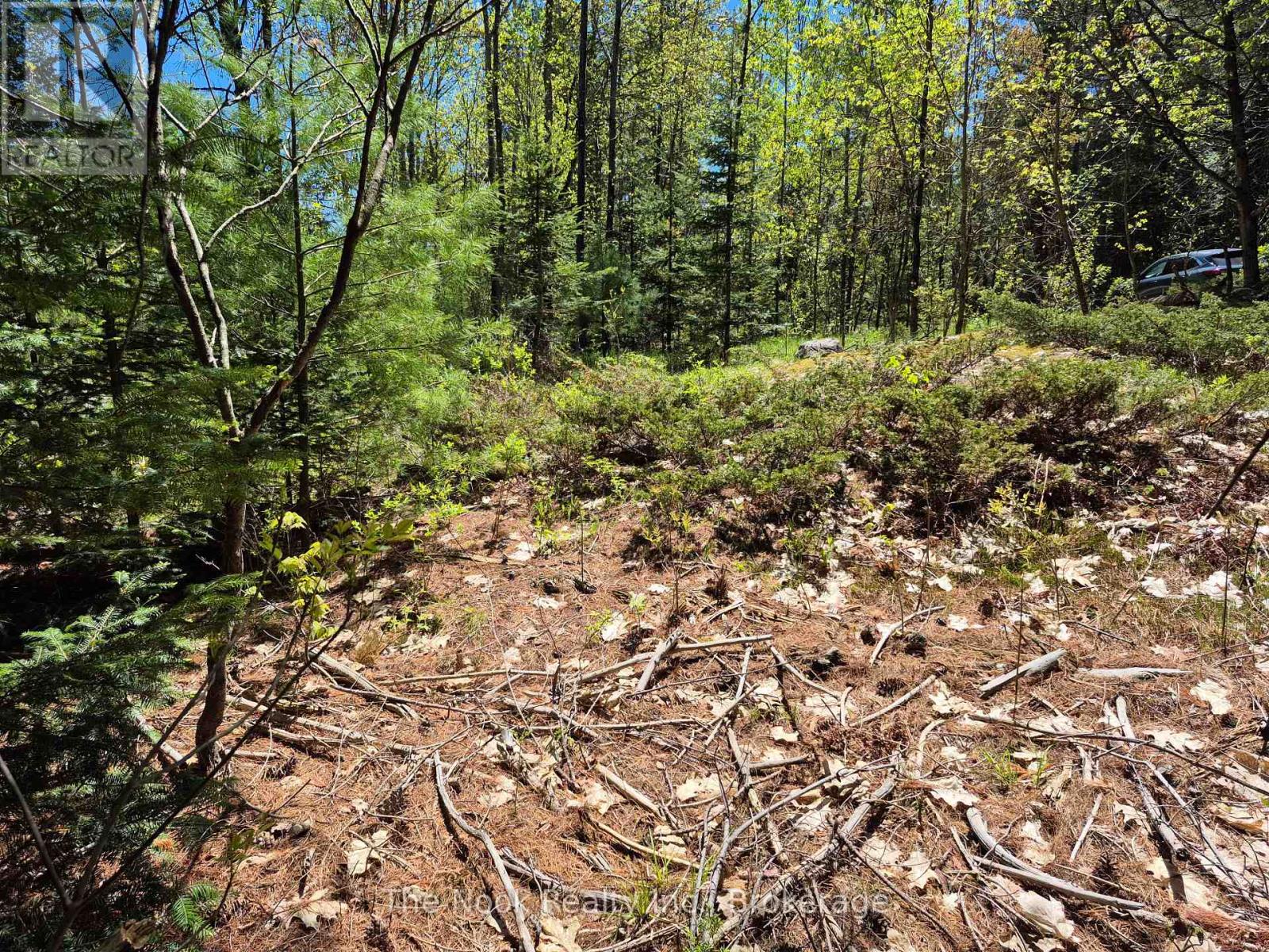 00 Pine Path, Frontenac, Ontario  K0H 1J0 - Photo 9 - X13170488