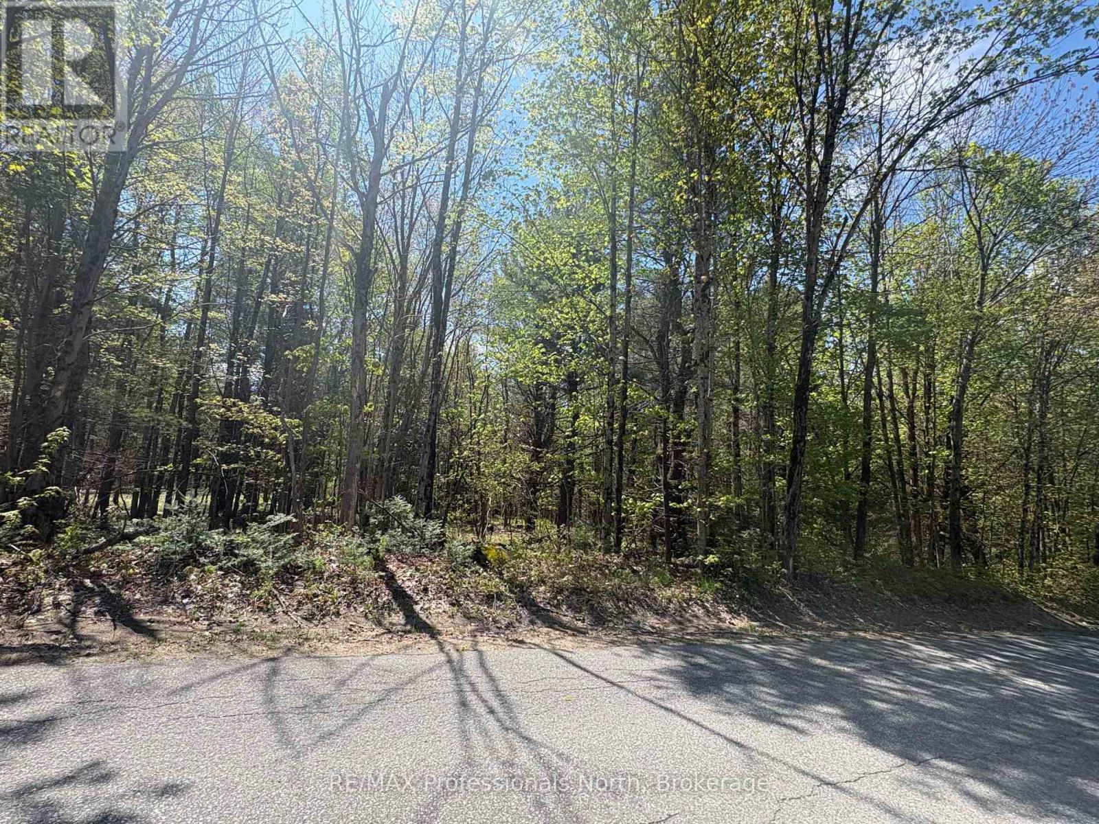 429 Britannia Road, Huntsville, Ontario P1H 2J3 - Photo 2 - X13170524