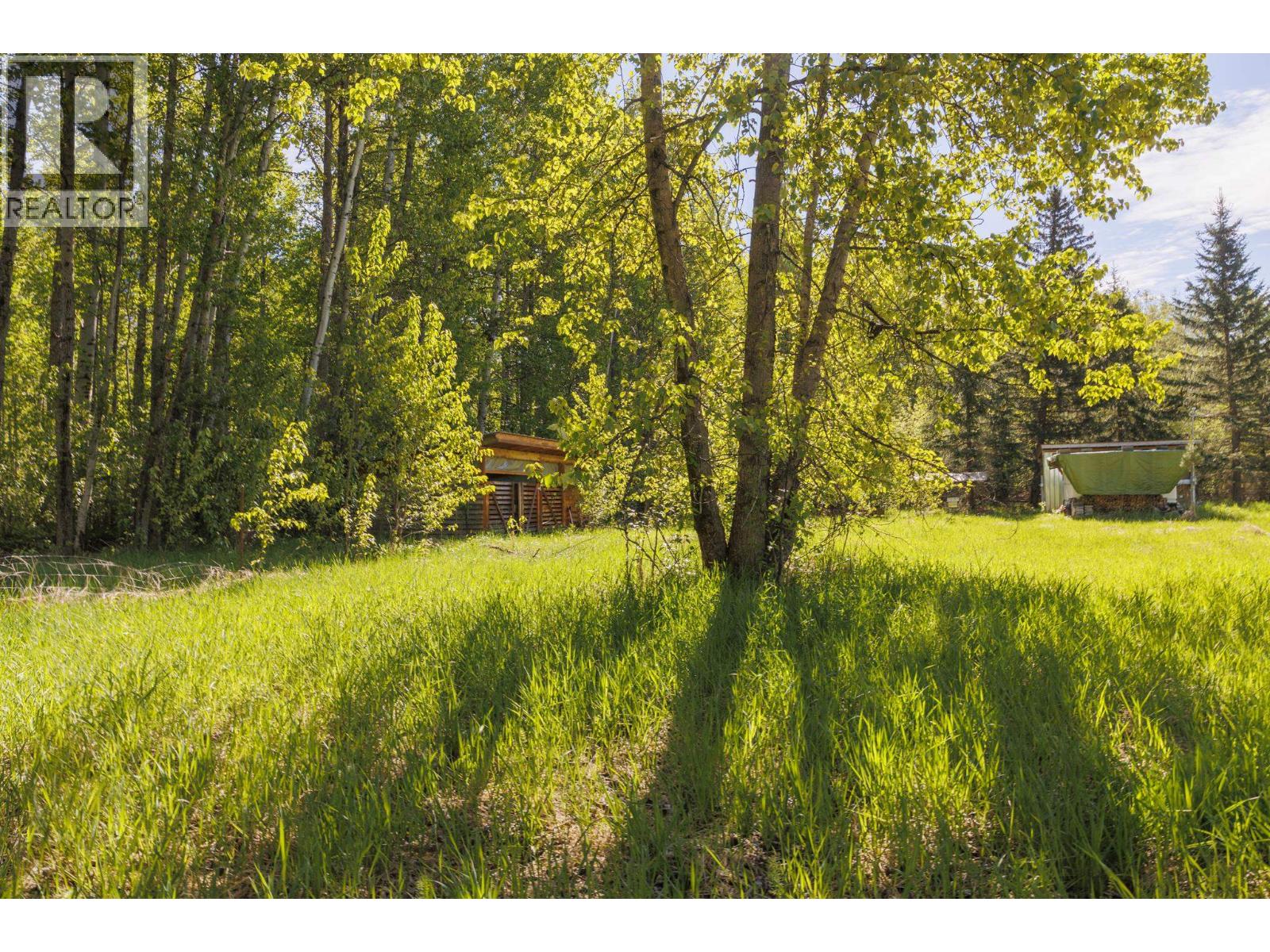 1980 Mountain View Road, Mcbride, British Columbia  V0J 2E0 - Photo 1 - R3127414