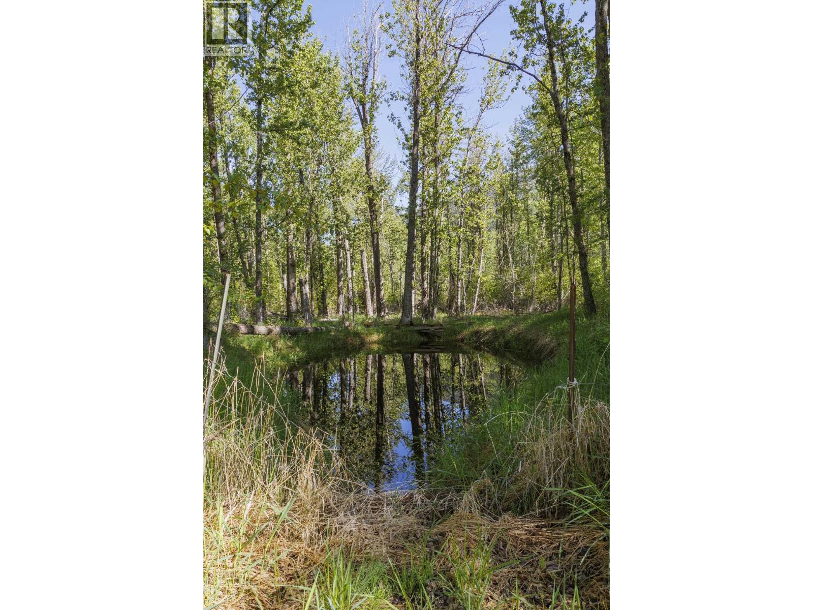 1980 Mountain View Road, Mcbride, British Columbia  V0J 2E0 - Photo 10 - R3127414