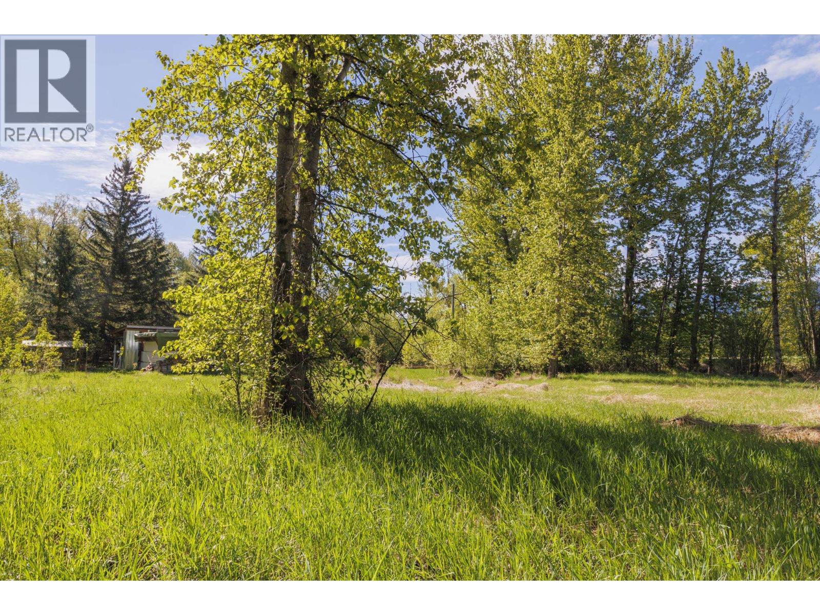 1980 Mountain View Road, Mcbride, British Columbia  V0J 2E0 - Photo 11 - R3127414
