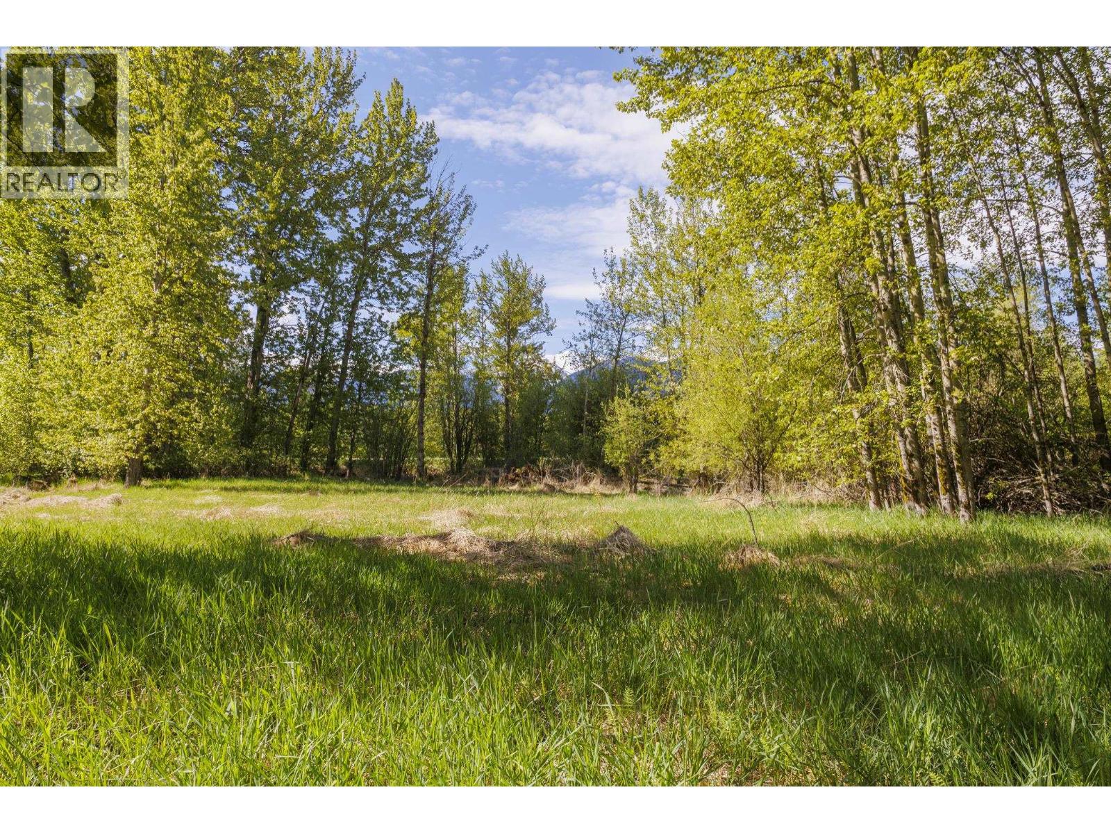 1980 Mountain View Road, Mcbride, British Columbia  V0J 2E0 - Photo 12 - R3127414