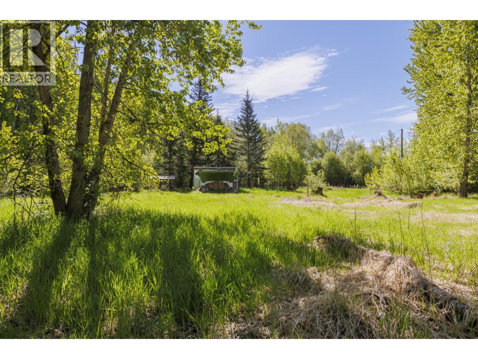 1980 Mountain View Road, Mcbride, British Columbia  V0J 2E0 - Photo 13 - R3127414