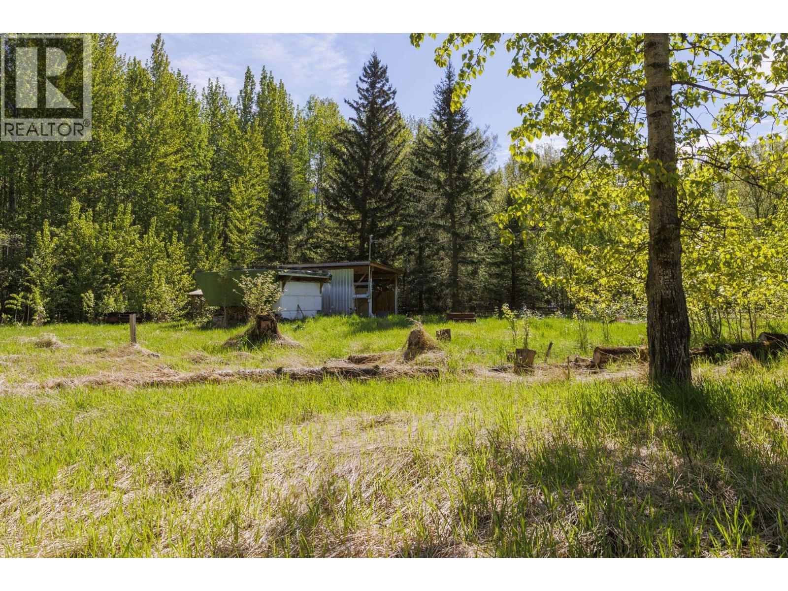 1980 Mountain View Road, Mcbride, British Columbia  V0J 2E0 - Photo 14 - R3127414