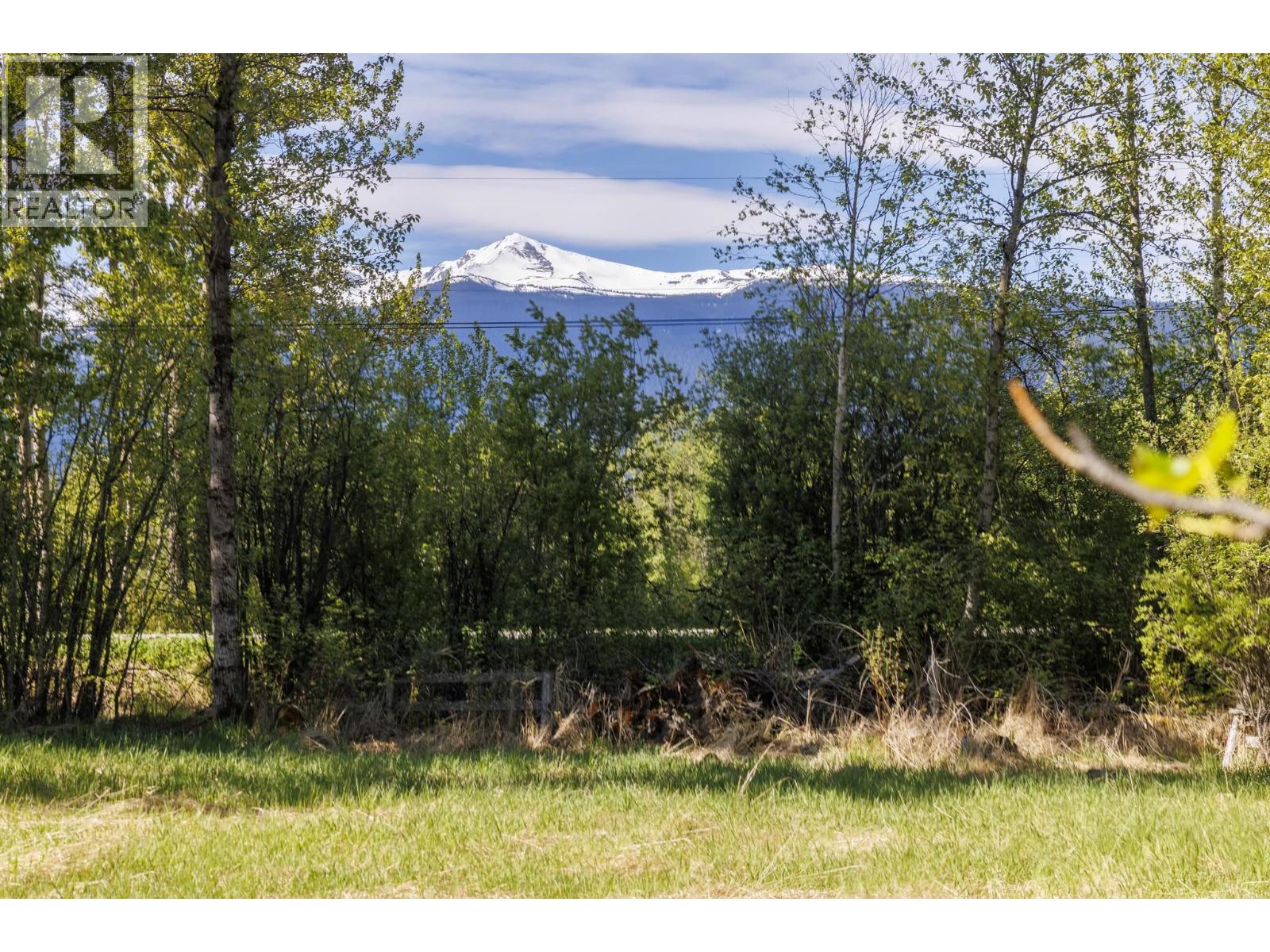 1980 Mountain View Road, Mcbride, British Columbia  V0J 2E0 - Photo 16 - R3127414