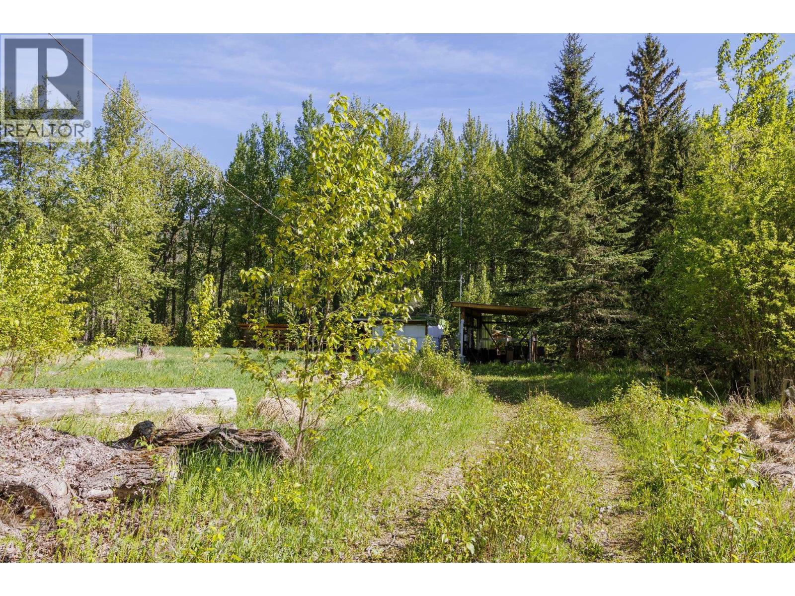 1980 Mountain View Road, Mcbride, British Columbia  V0J 2E0 - Photo 2 - R3127414
