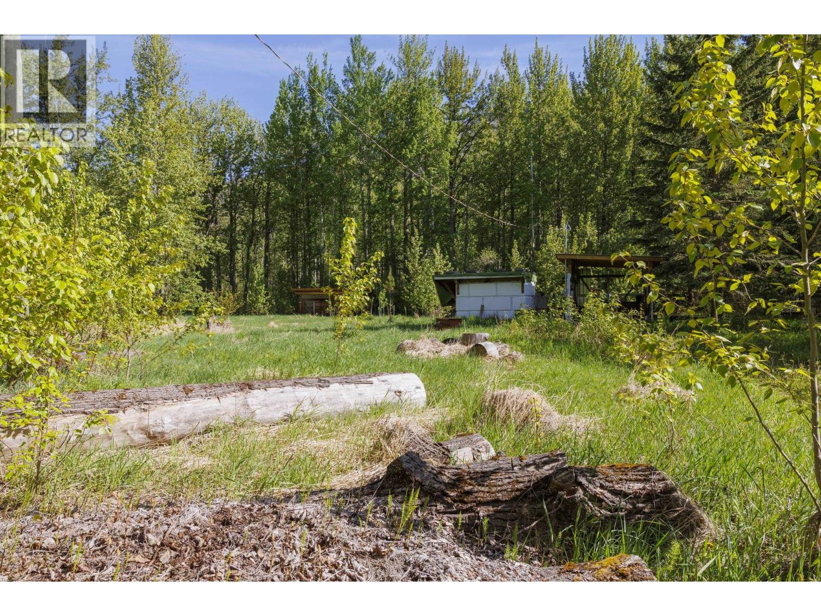 1980 Mountain View Road, Mcbride, British Columbia  V0J 2E0 - Photo 3 - R3127414
