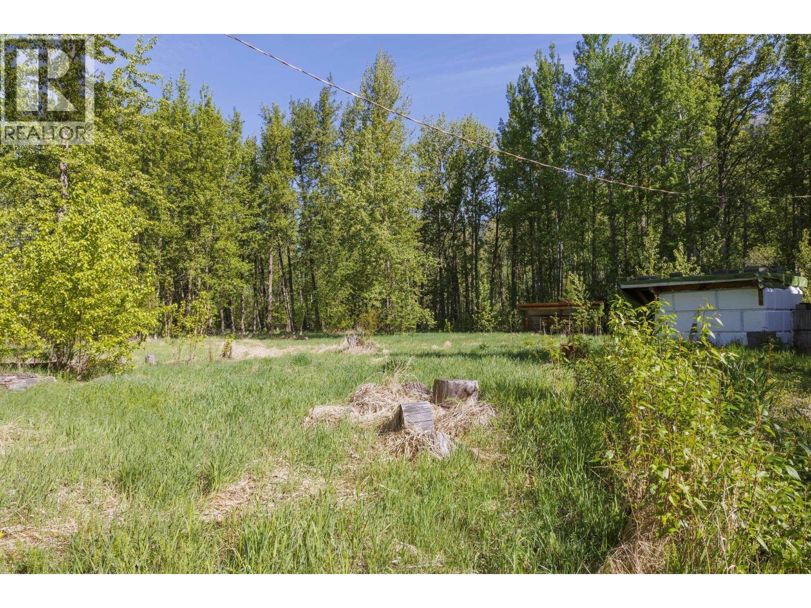 1980 Mountain View Road, Mcbride, British Columbia  V0J 2E0 - Photo 4 - R3127414