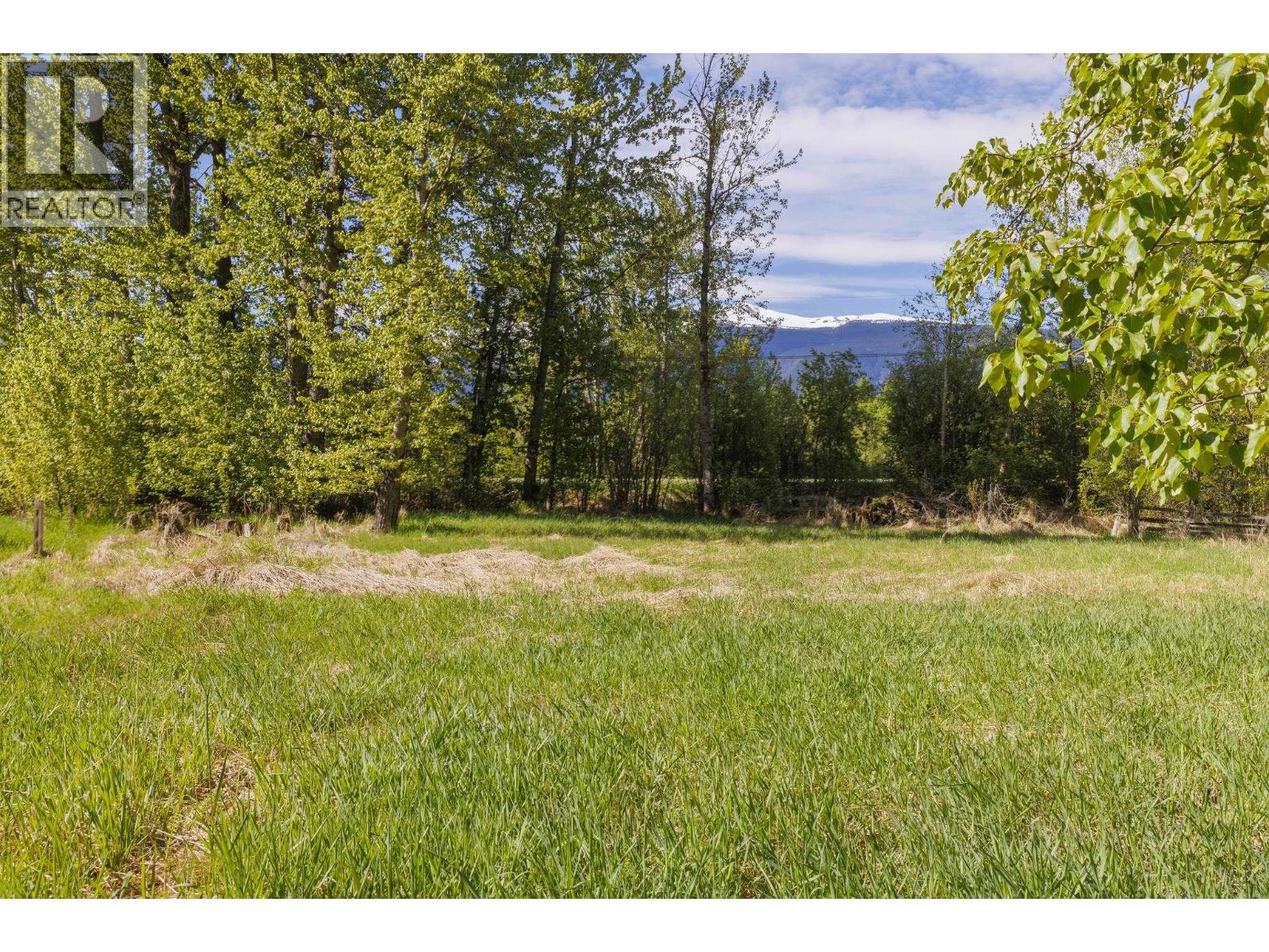 1980 Mountain View Road, Mcbride, British Columbia  V0J 2E0 - Photo 9 - R3127414