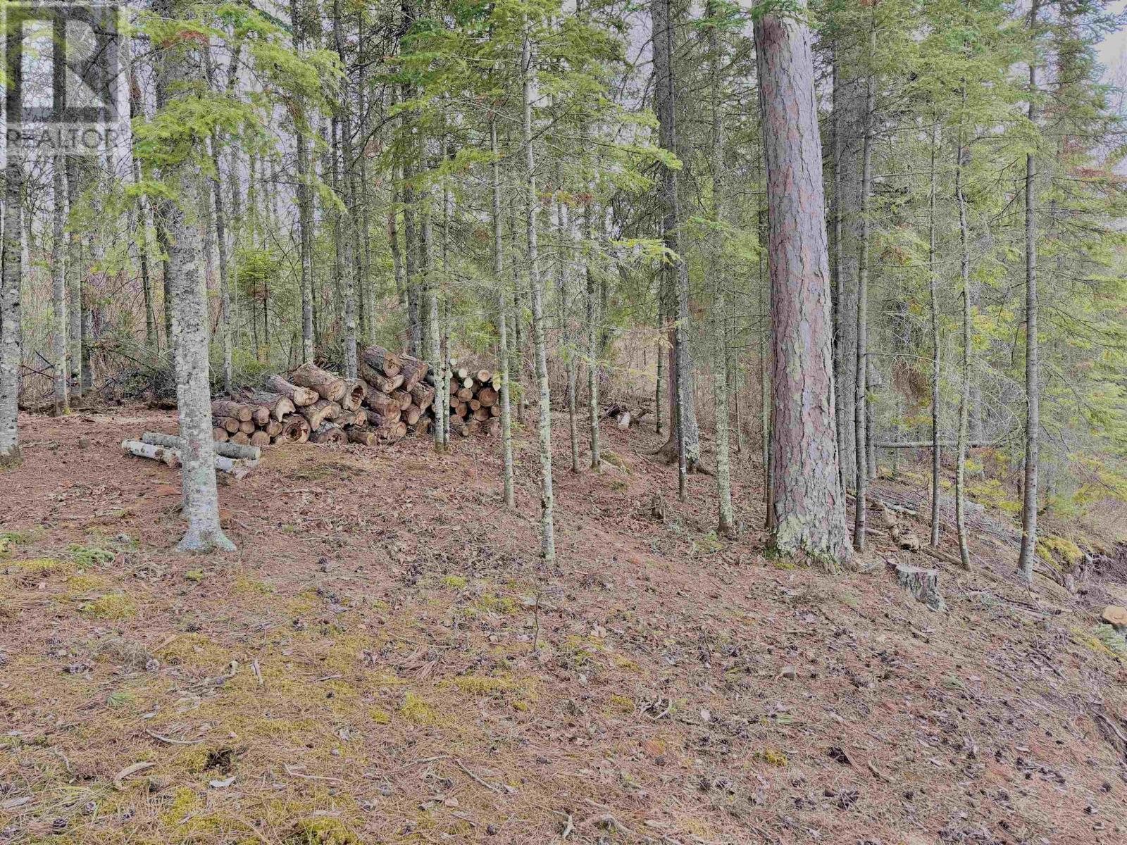 Part 2 Wolf Island, Unorganiged, Ontario P0X 1C0 - Photo 6 - TB2601178
