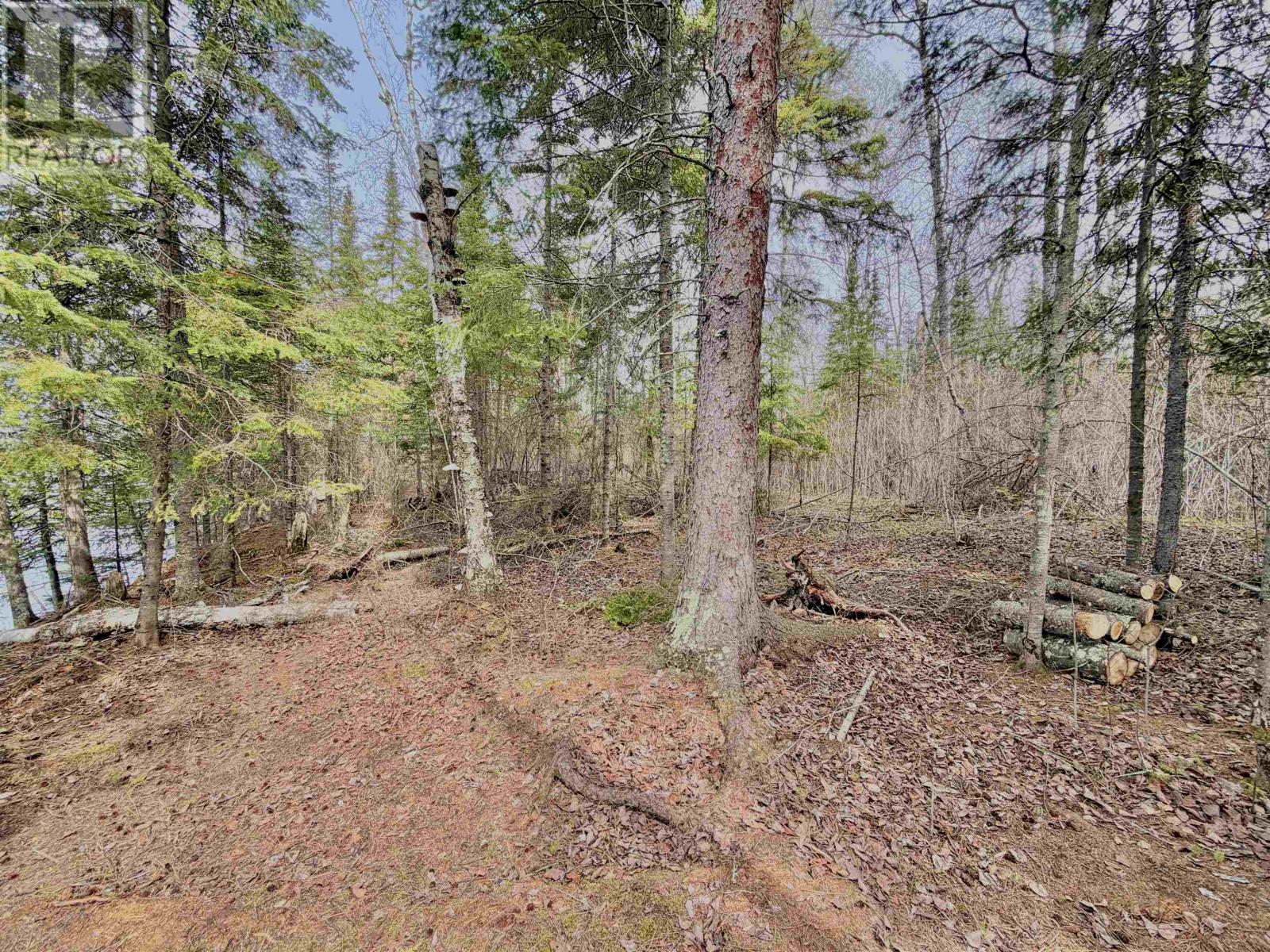 Part 2 Wolf Island, Unorganiged, Ontario P0X 1C0 - Photo 8 - TB2601178