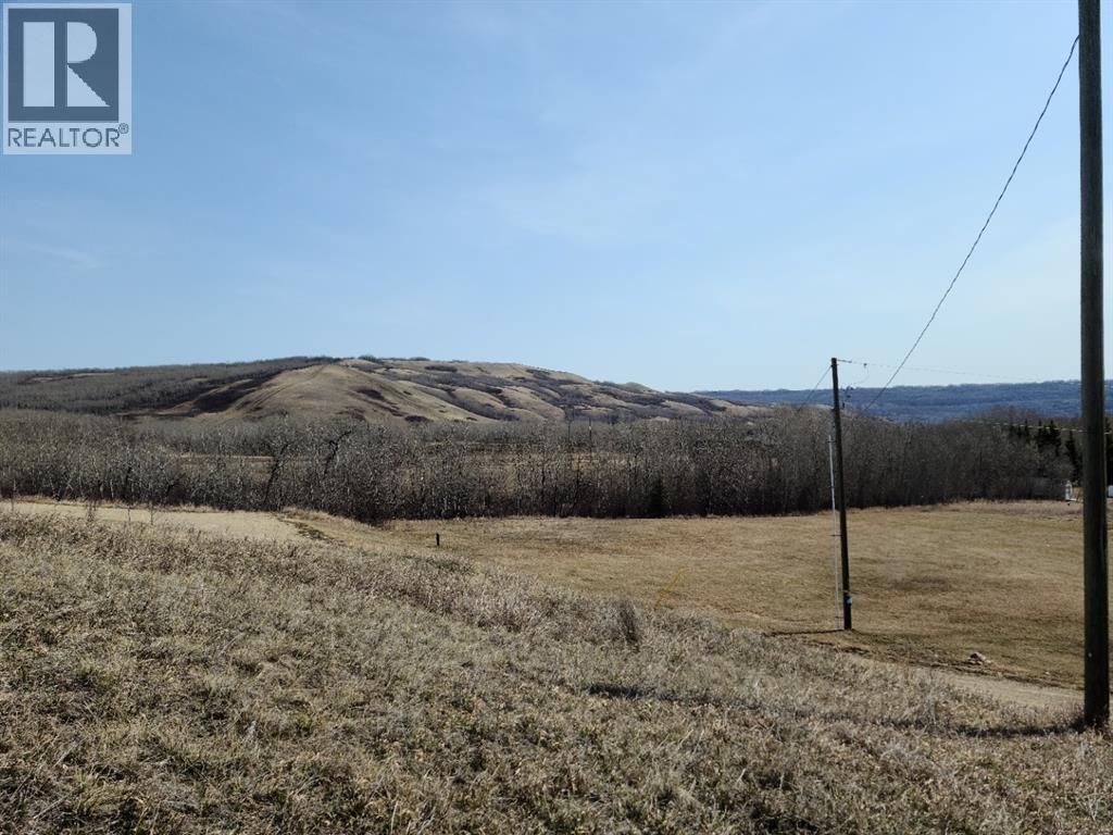11702 78 Street, Peace River, Alberta  T8S 1A7 - Photo 3 - A2313300