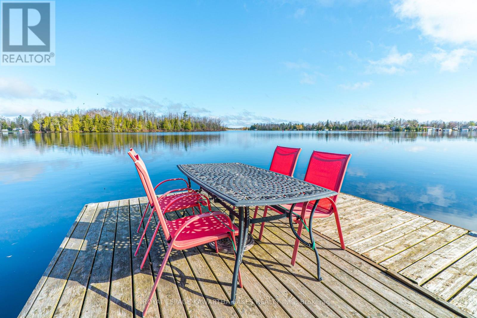 63 Robinson Avenue, Kawartha Lakes, Ontario  K0M 2B0 - Photo 36 - X12929112