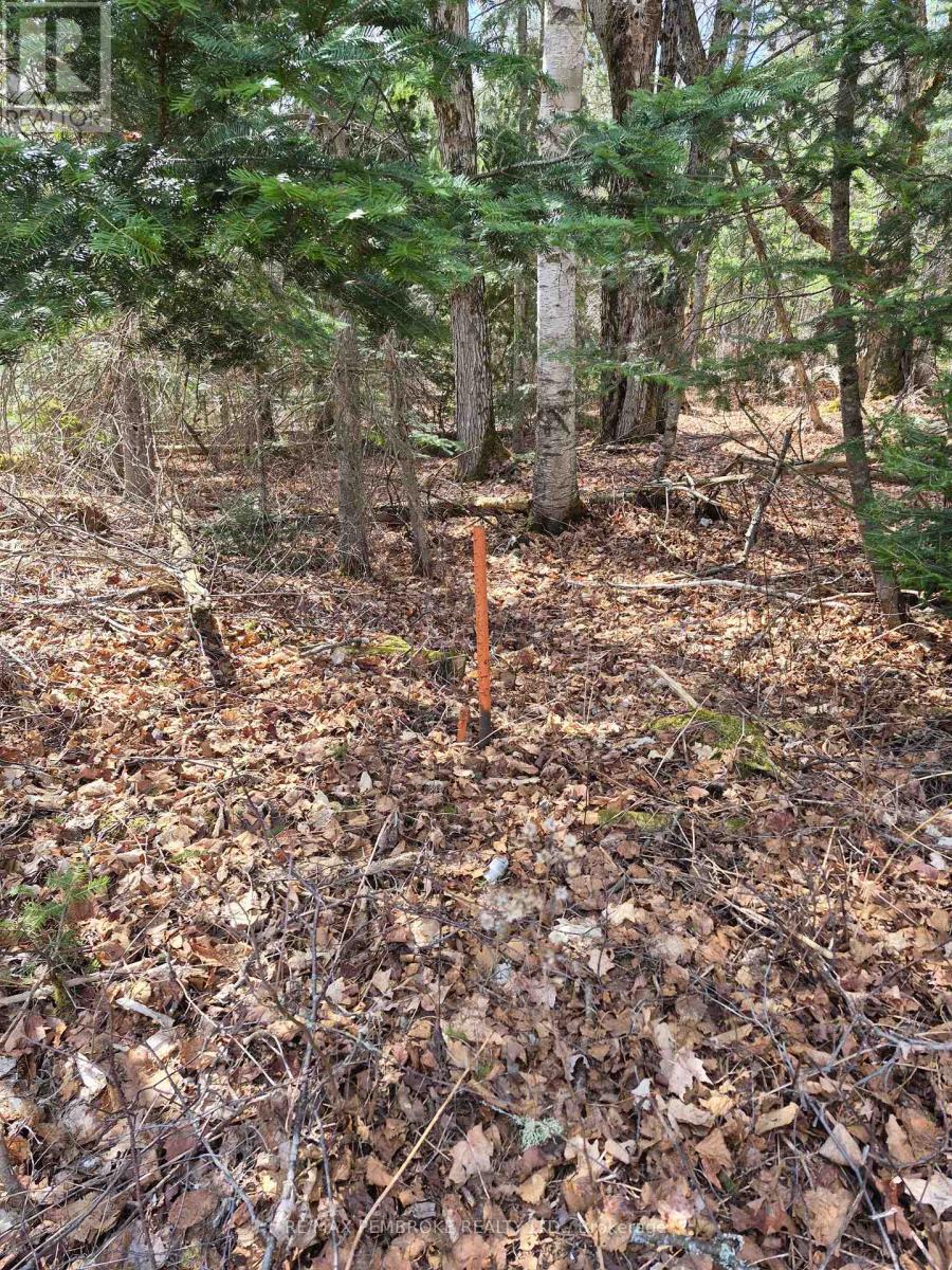 27681 Highway 60 Highway, South Algonquin, Ontario  K0J 2M0 - Photo 20 - X13169770