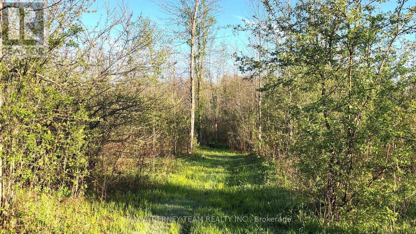 2640 Concession 8 Road, Ramara (Brechin), Ontario  L0K 1B0 - Photo 42 - S13170702