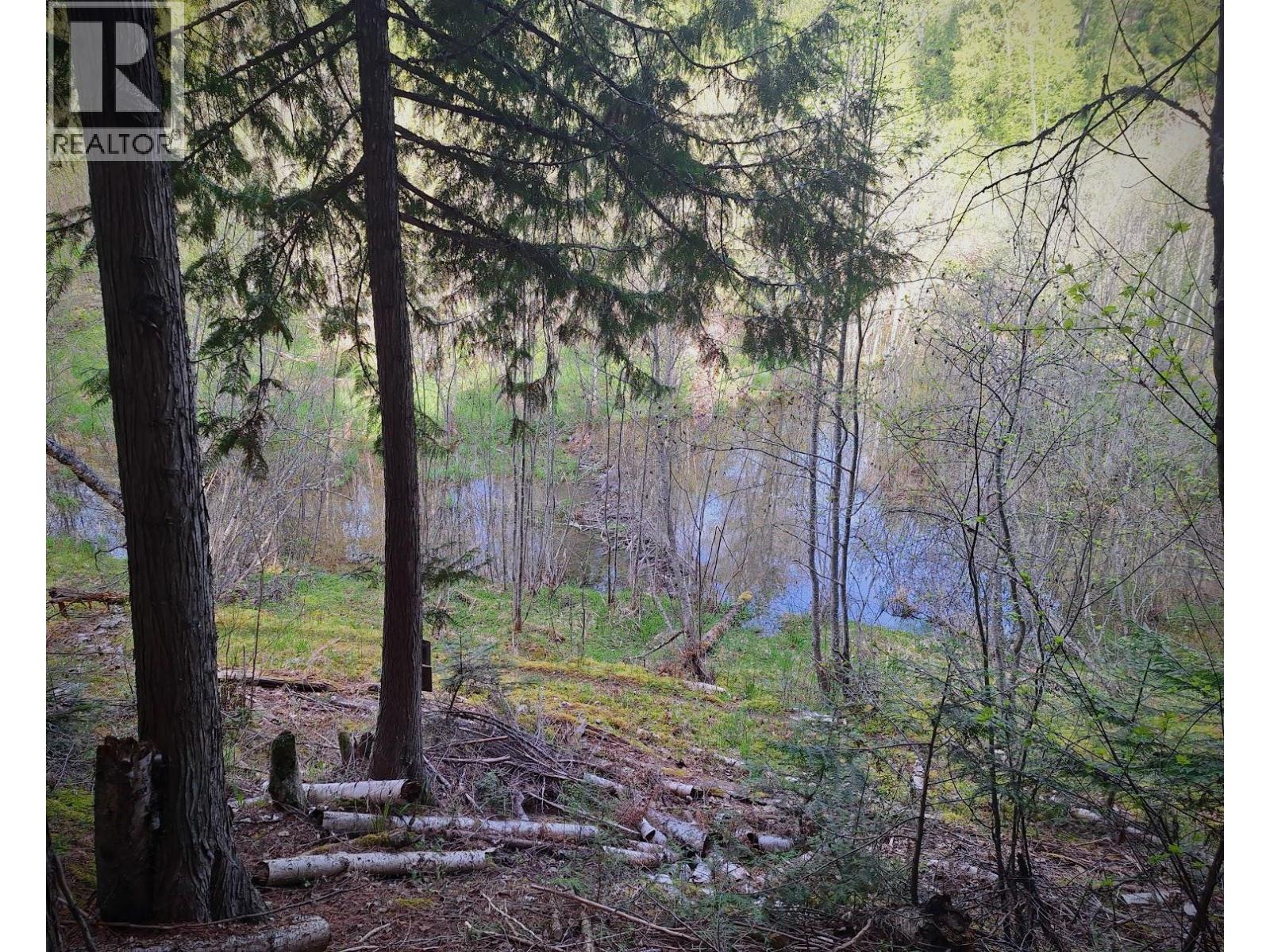 4039 Zapp Road, Canyon, British Columbia  V0B 1C1 - Photo 35 - 10384095