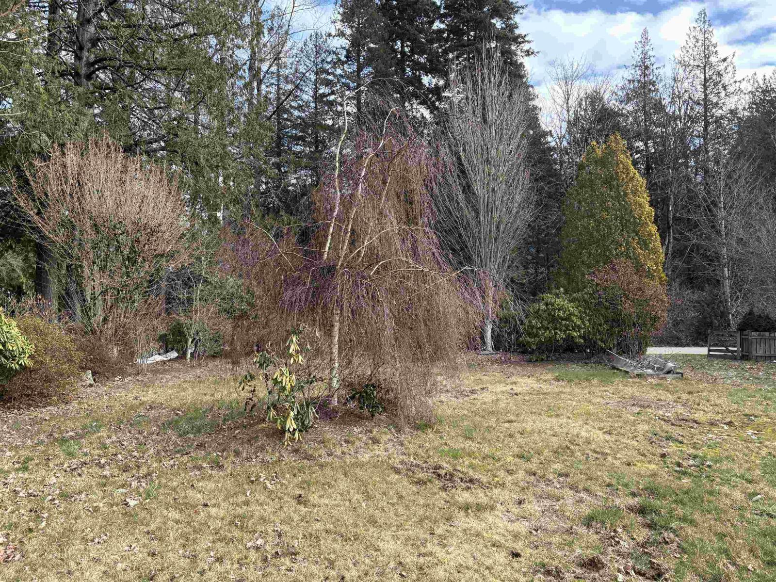 689 Hazel Street, Hope, Hope, British Columbia  V0X 1L0 - Photo 11 - R3091711