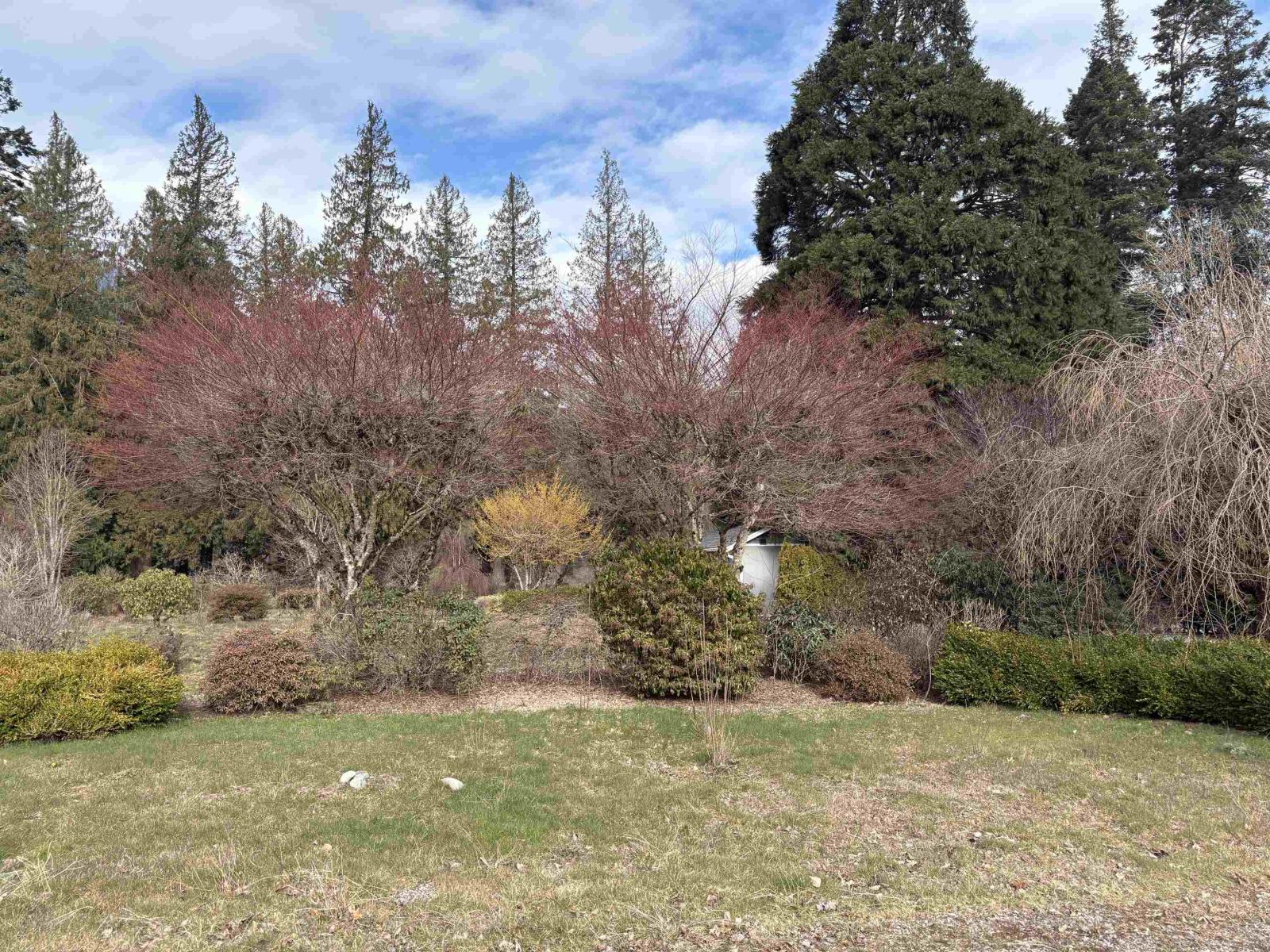 689 Hazel Street, Hope, Hope, British Columbia  V0X 1L0 - Photo 9 - R3091711