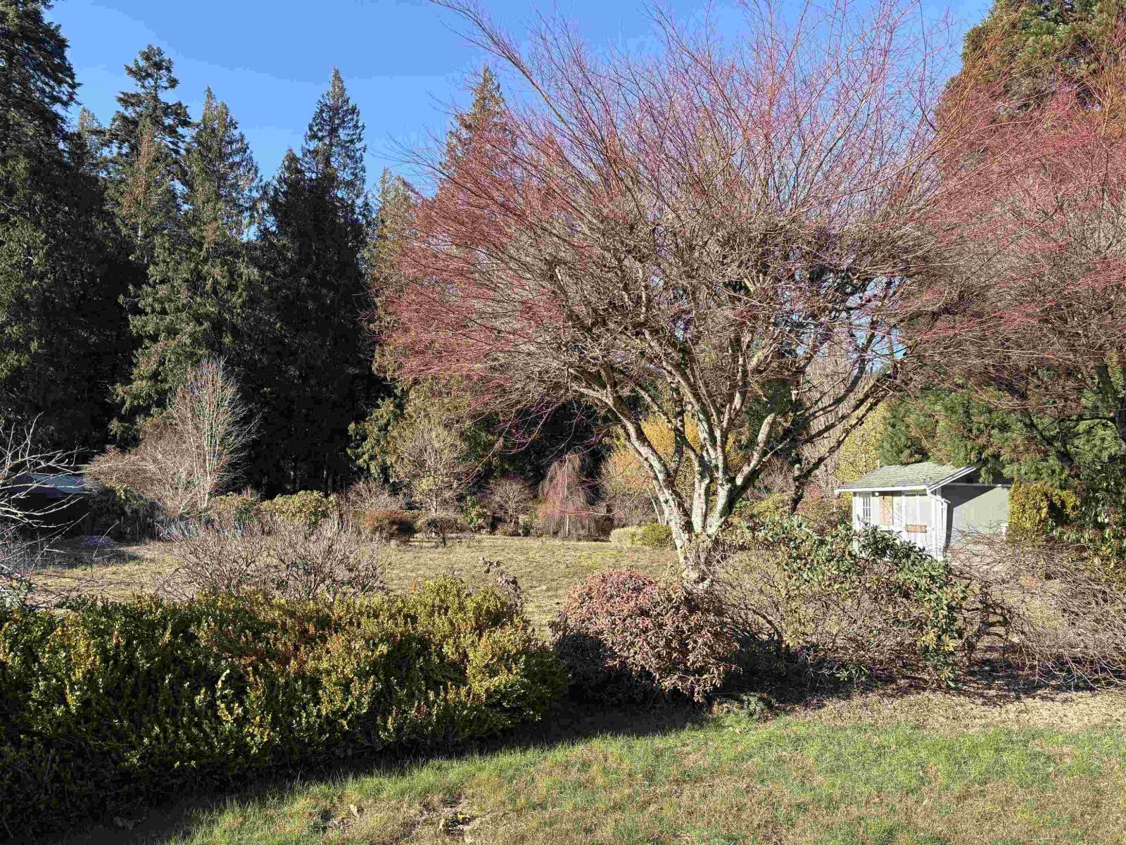 689 Hazel Street, Hope, Hope, British Columbia  V0X 1L0 - Photo 4 - R3091711
