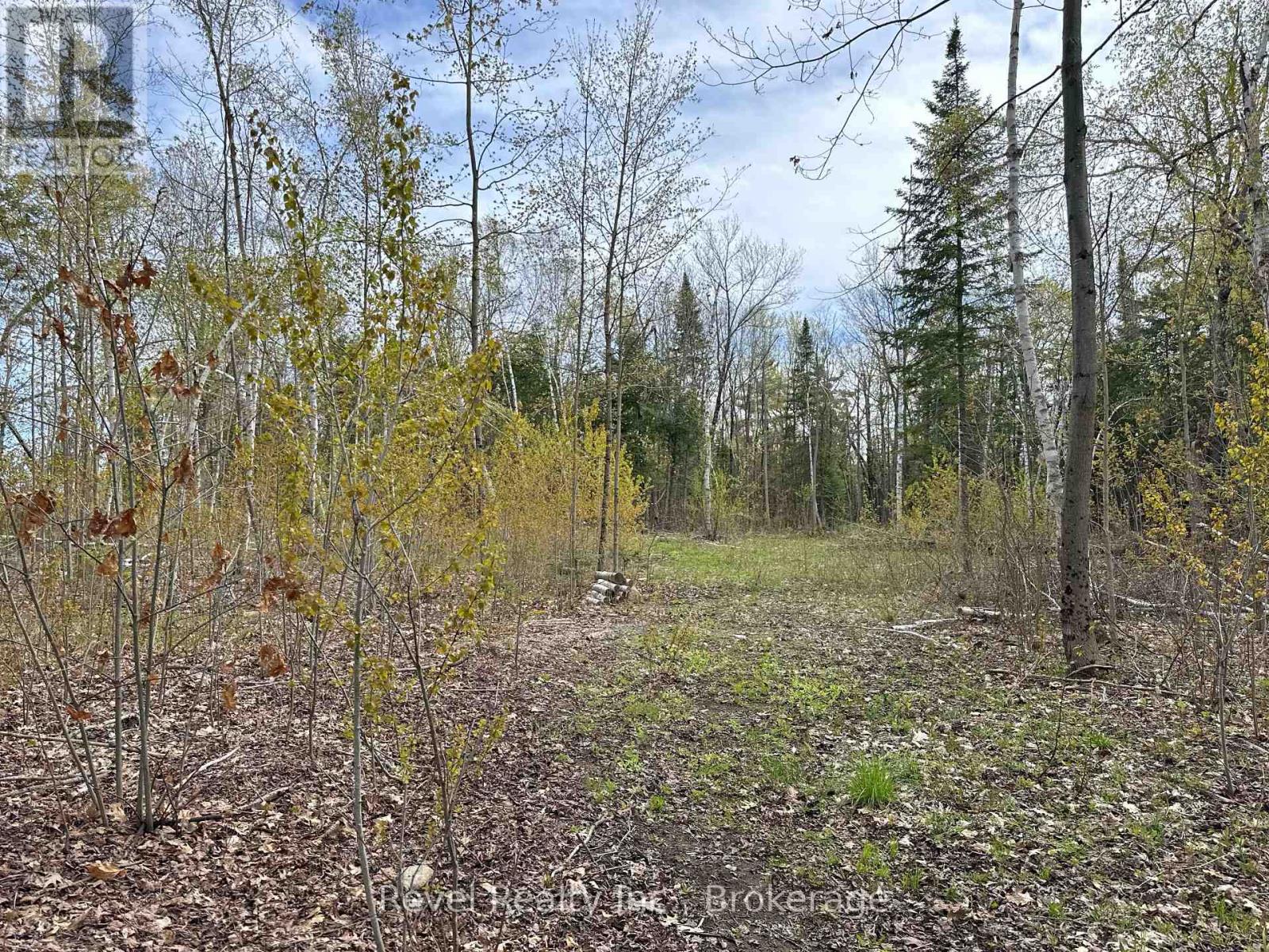 77 Mcnevan Drive, Kawartha Lakes, Ontario  K0M 1N0 - Photo 10 - X13171004