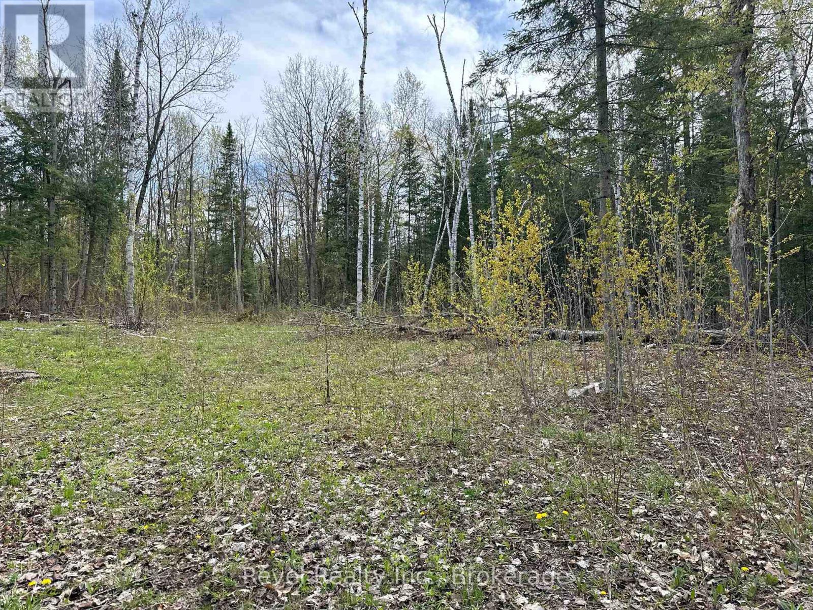 77 Mcnevan Drive, Kawartha Lakes, Ontario  K0M 1N0 - Photo 11 - X13171004