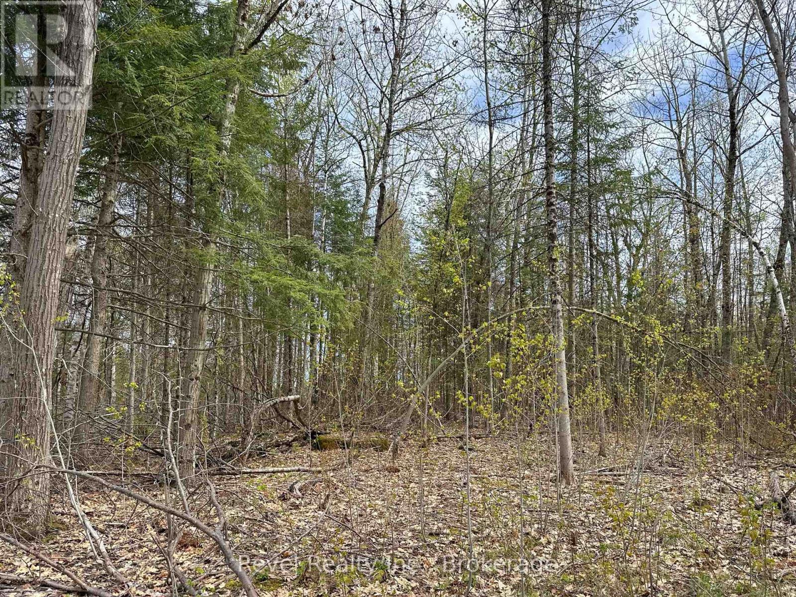 77 Mcnevan Drive, Kawartha Lakes, Ontario  K0M 1N0 - Photo 12 - X13171004
