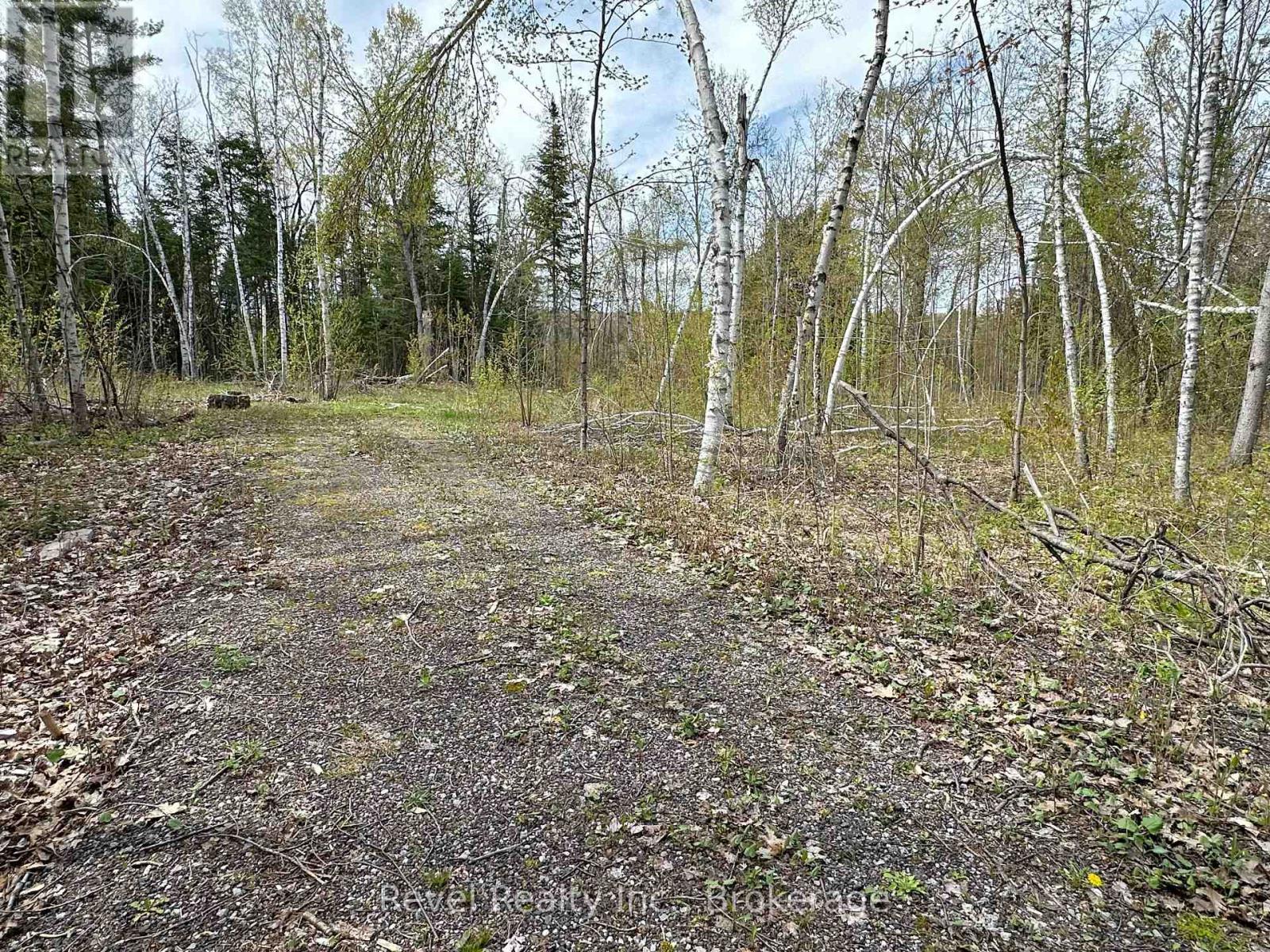 77 Mcnevan Drive, Kawartha Lakes, Ontario  K0M 1N0 - Photo 3 - X13171004