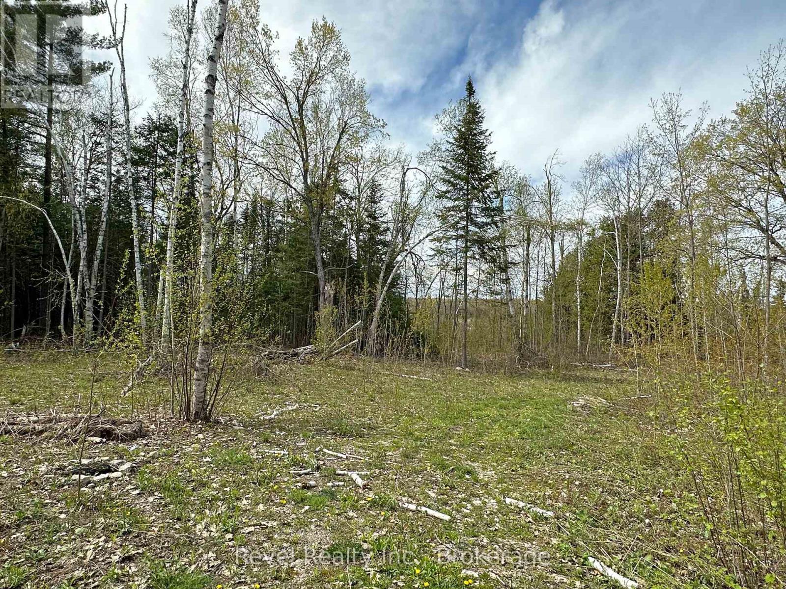 77 Mcnevan Drive, Kawartha Lakes, Ontario  K0M 1N0 - Photo 4 - X13171004