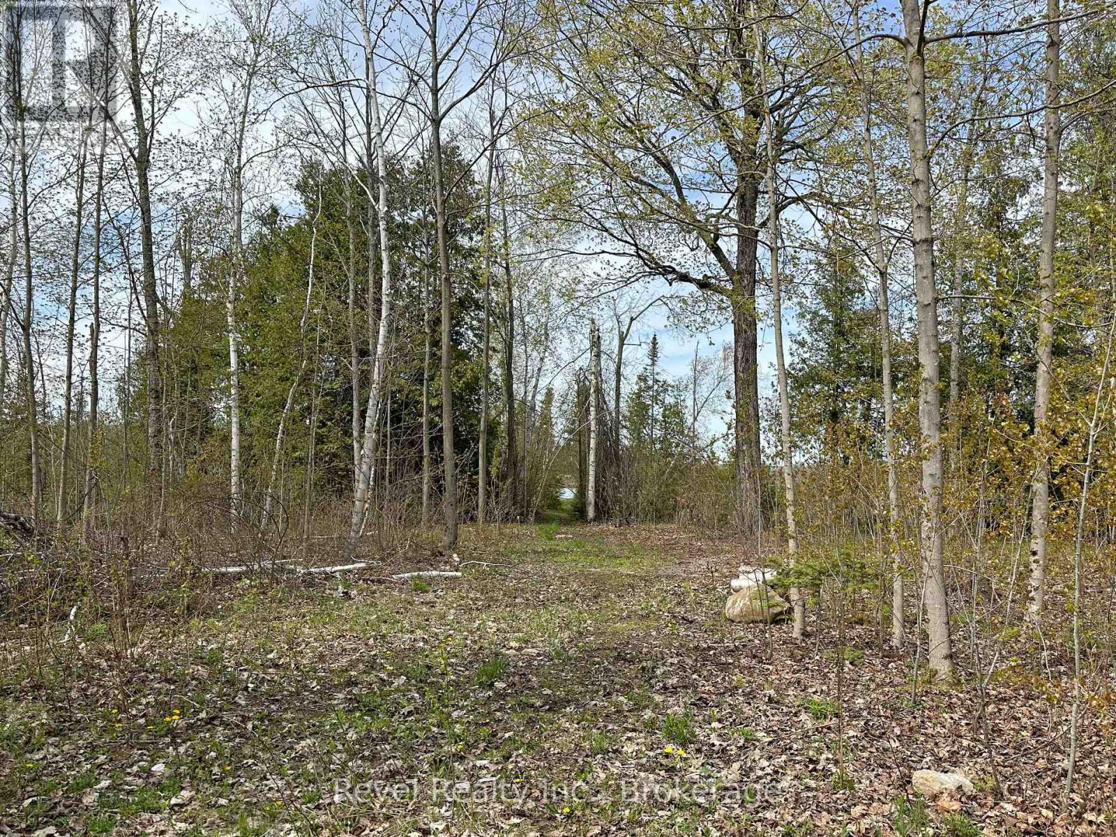 77 Mcnevan Drive, Kawartha Lakes, Ontario  K0M 1N0 - Photo 5 - X13171004