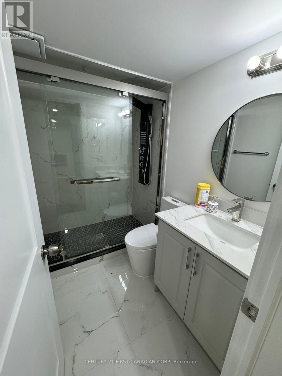 Basement - 3629 Earlston Cross, London South, Ontario  N6L 0G5 - Photo 8 - X13170978
